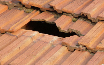 roof repair Low Cotehill, Cumbria